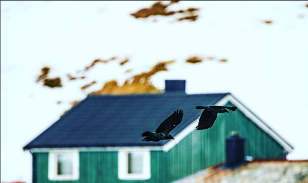 Fotografía Personalizada Fotografía Personalizada